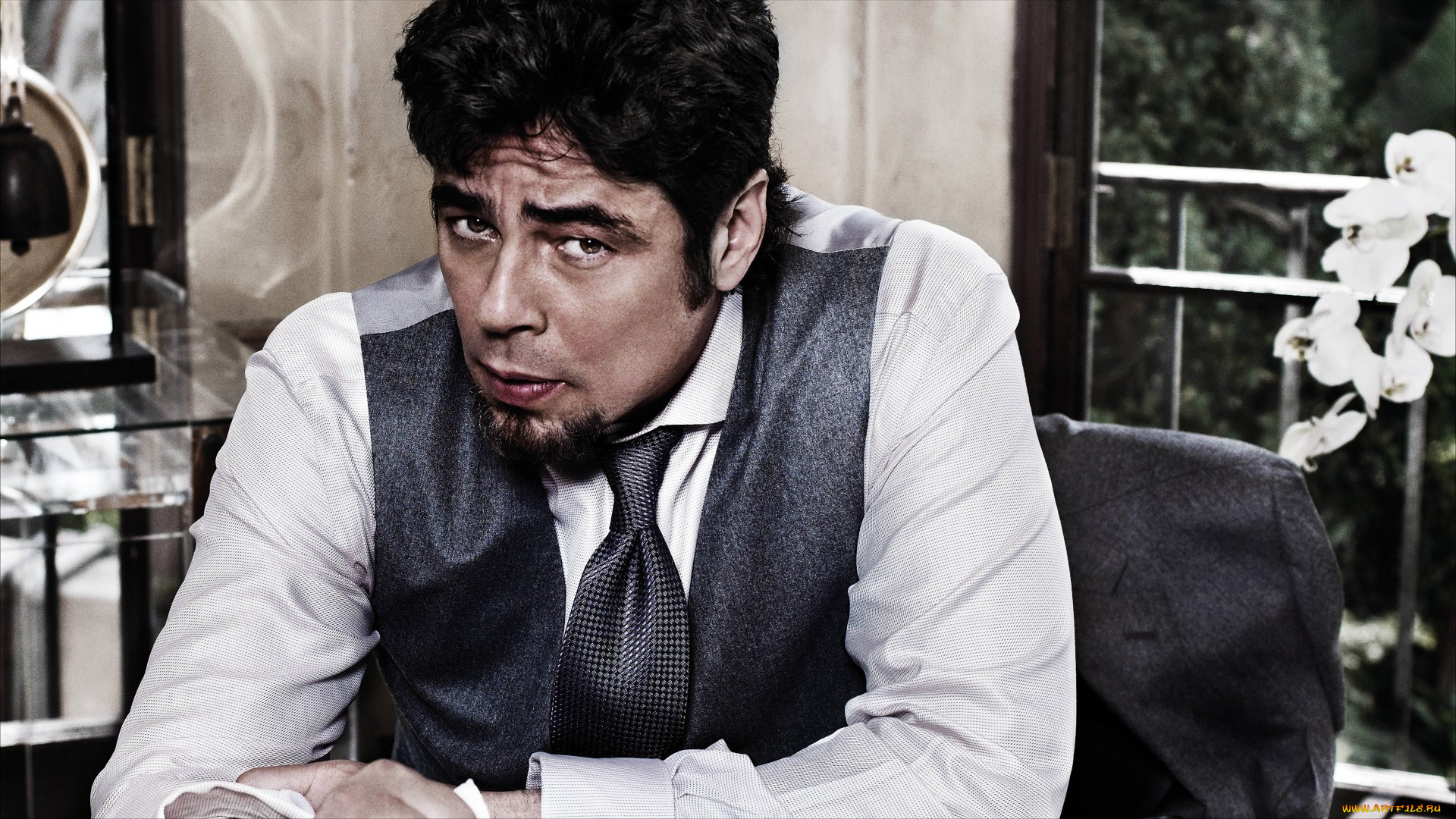 benicio, del, toro, , , , , , , , 